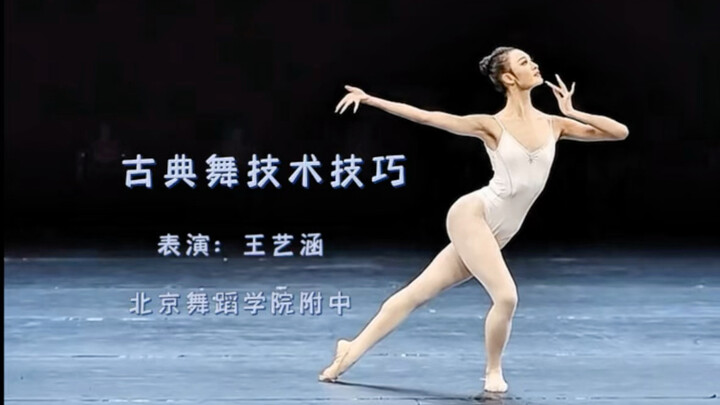 Vương Nghệ Hàm « Tổ hợp kỹ thuật, kỹ xảo múa cổ điển Trung Hoa »