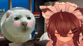 「三百剪一警告」鹤祁和华洛的新婚生活【鹤祁_Tsuruki/华洛不会飞】