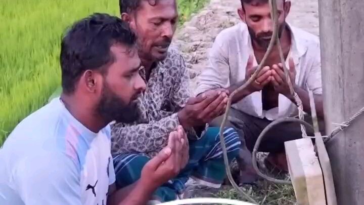খাম্বারে ও খাম্বা...