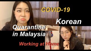 Korean quarantine in Malaysia/ Working at home/ 말레이시아 격리/집에서 일하기/WAHA