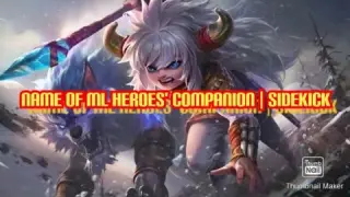 ML heroes and their companion | Sidekick | Mobile Legends