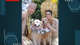 5 artis yang berpasangan dengan dokter spesialis