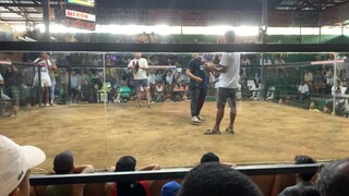 unscratch dalusapi🔥 BBCA