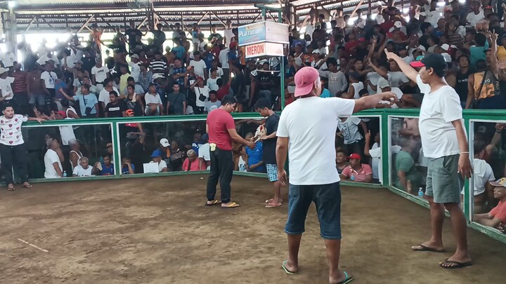 unang bitaw sa tag araw... dinihado pa Tayo mga boss..4/21/24 @calzada barkadahan cockpit, oas albay