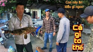 Trần Thạch Vlogs Vượt 100 Cây Số Mang Hải Sản Về Hội Tụ Sư Phụ Và AE Team Săn Bắt Ẩm Thực Vùng Cao