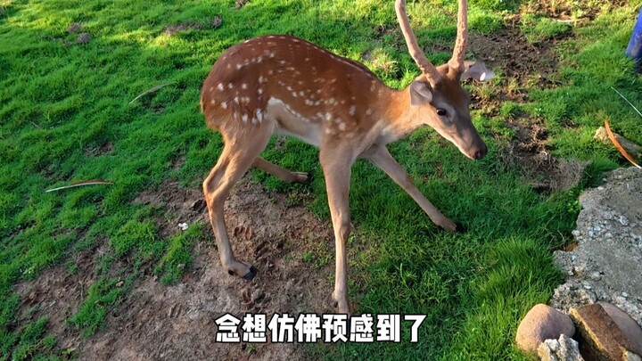 Nỗi niềm chợt khiến cả thế giới như nhẹ bẫng đi...