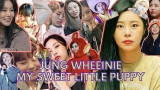 JUNG WHEEINIE: MY SWEET LITTLE PUPPY