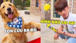 Gâu Đần Family | ĐẢN HOÀNG Bày Mưu Chơi Xấu PAPA và Cái Kết Nhịn Đói 🤣 Gâu Đần Official