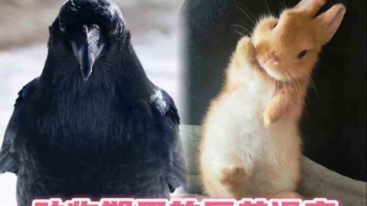 Setelah mengetahui perbedaannya, jadi lebih enak lagi......