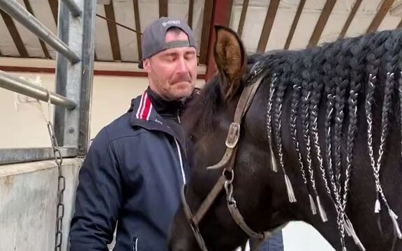 【Ngựa】Khi nó tìm thấy cái khóa kéo!