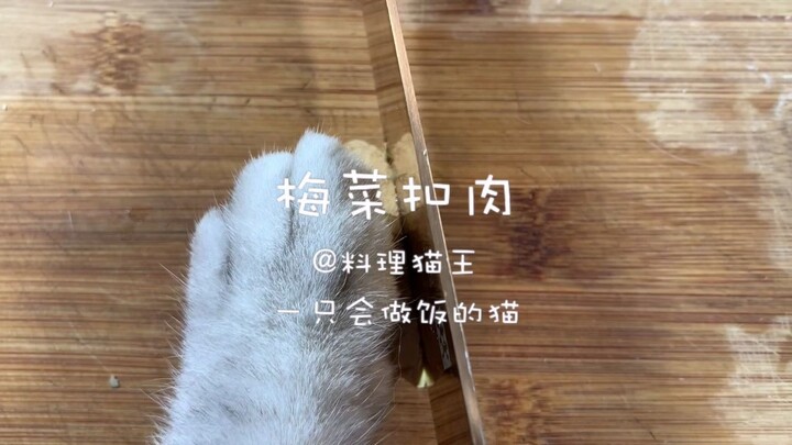 【Vua Ẩm Thực Mèo】Món thịt ba chỉ kho mận phiên bản mèo, tôi có thể ăn hết năm bát cơm!