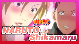 NARUTO|Shikamaru:Aku hanya ingin menemukan wanita biasa untuk kunikahi.