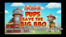 Paw patrol Musim 11 Episode 18 Bahasa Indonesia