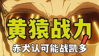 Akainu evaluated Kizaru's strength three times, saying that he could kill Nika Luffy and was not def