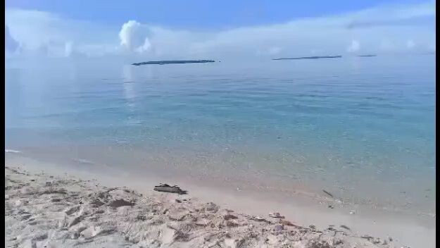 isla
