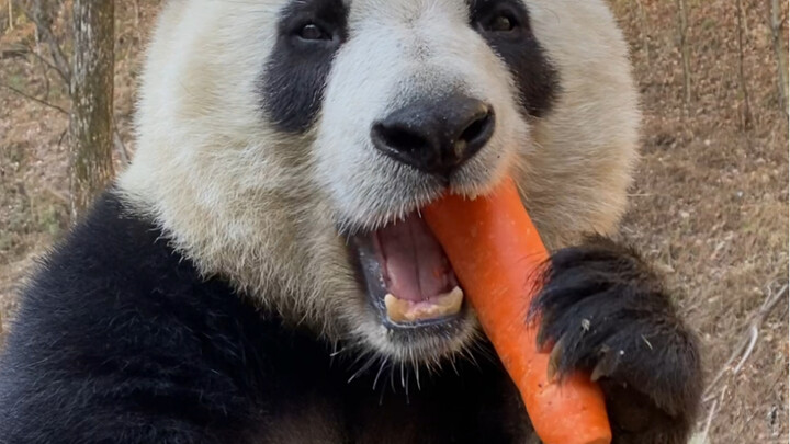 You have to hold it down with your hand to enjoy the tasty bits—so clever!