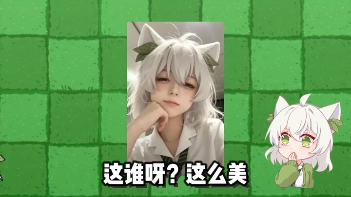 ปลูกป่าไล่ซอมบี้: นี่ใครกันนะ? ทำไมสวยขนาดนี้!