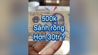 Hứa hẹn các siêu phẩm VN mình sẽ mua cao nhất VN. leemjntuan dinhgiamoiloaitien xuhuong TikTokSoiPhim