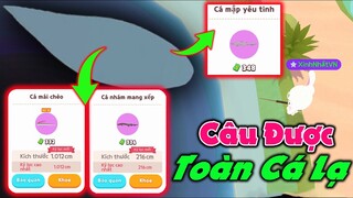 Play Together | Câu Được Toàn Cá Lạ | Cá Mập Yêu Tinh, Cá Nhám Mang Xếp, Cá Mái Chèo......