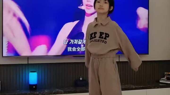 自学唱跳柳智敏up