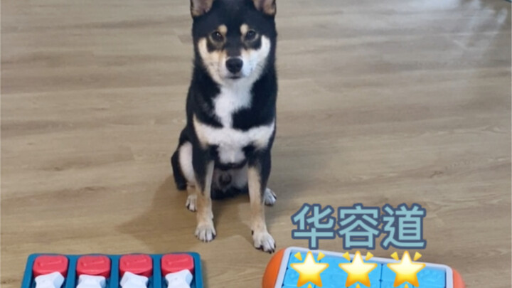 And Sei! Let’s take on the challenge!