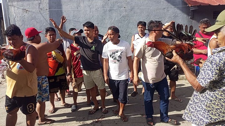 lakas manok ni aboy🤣