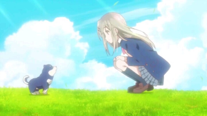 Adachi: I really want to be Miss Shimamura's X