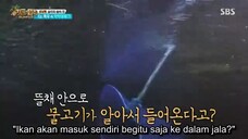 Law.of.the.Jungle.E250.360p