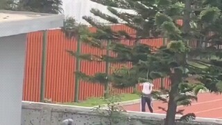 这树长得很适合通风报信