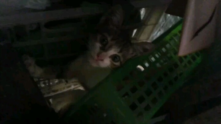 Could you please give us the address and 😁😁😁