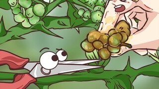 Can fresh vine peppers be used after being pinched by hand?