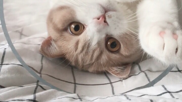 แอบโผล่มาทักทาย [tv_หลับ] สองเดือนนี้มันยากเหลือเกิน