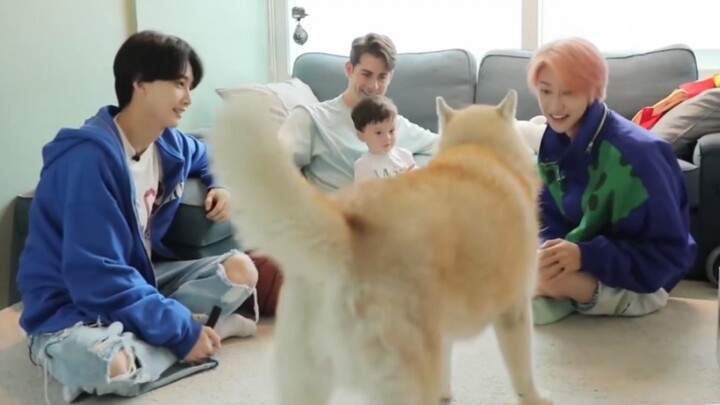 【ซูหมิงฮ่าว】หมาจอมซนหึงหวงเพราะชอบเสี่ยวปา แย่งความสนใจจากเบบี้