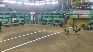 2hits ulutan first fight