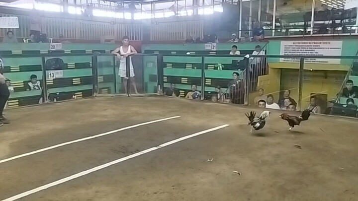 2hits ulutan first fight