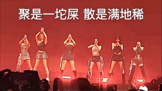 宝怪现状 每个人都沉浸在自己的艺术里想脱颖而出 没火但爱撕【Babymonster】