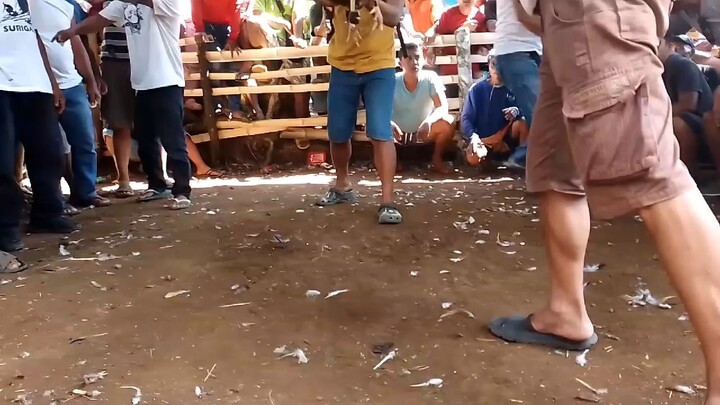tupada