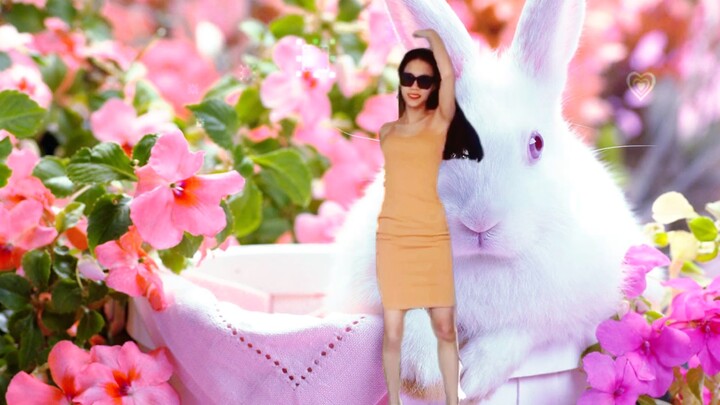 Hồng baby #animecover #dance #xuhuong