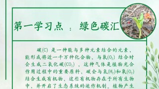 第一学习点 จุดศึกษาที่1