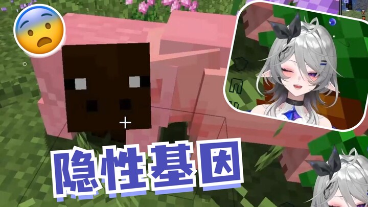 Sistem reproduksi MC belum pernah mengecewakan saya (