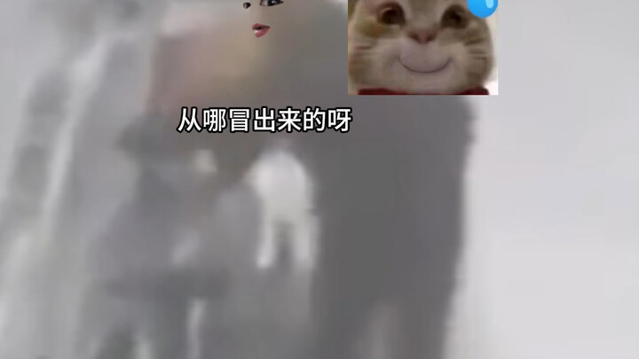 Apakah ini refresh secara tetap? Kenapa semuanya sama persis?