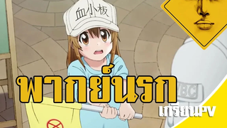 นี่แหละ โลลิ โลลิ โลลิ!!!!! พากย์นรก Hataraku saibou เกรียนPV