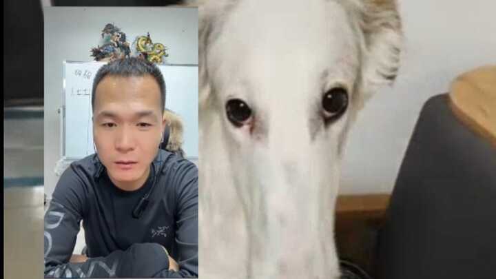 Cuối cùng cũng được gặp “tiểu cẩu” trong truyền thuyết!