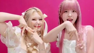 【Lily+Swan】Solo出道新歌挑战！