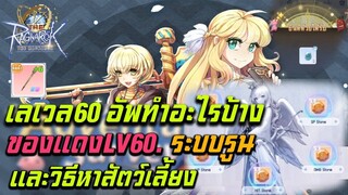 The Ragnarok  SEA เลเวล60. ทำอะไรบ้างหาของแดง60 ระบบรูน และวิธีหาสัตว์เลี้ยง