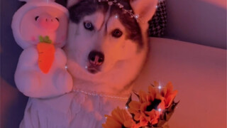 Tôi thật sự không ngờ các bạn lại muốn xem đồ nữ đấy.