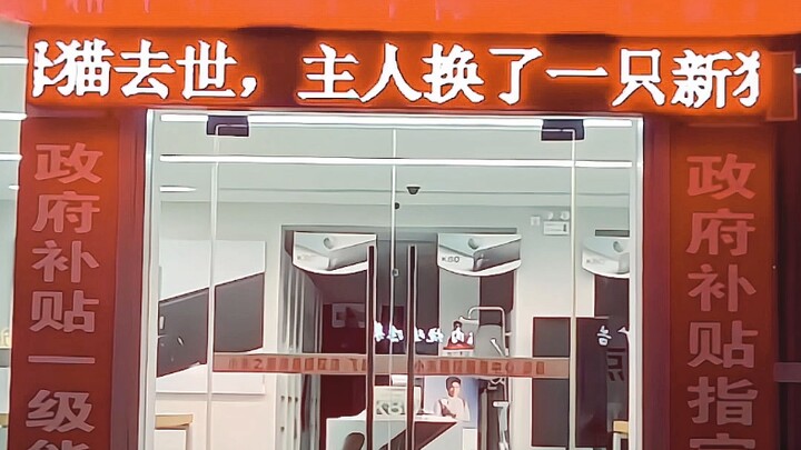 “模糊的字体，清晰的逻辑，破碎的自己”#感情共鸣 #汤姆与杰瑞 #猫和老鼠