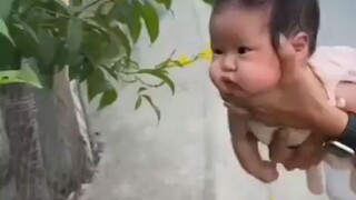 Bee Keeper