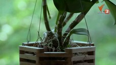 แซนดี้ ครูแสนดี EP.16  ตอนจบ