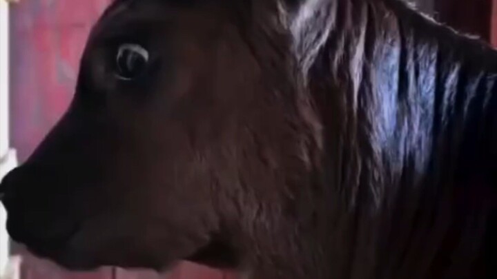 McLaren 720s Spider🔥